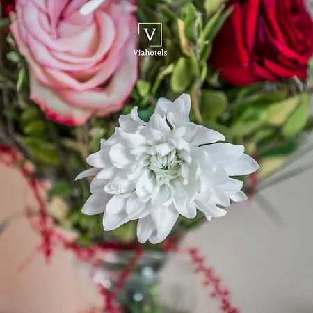 Vh Eurostar Congress & 4*